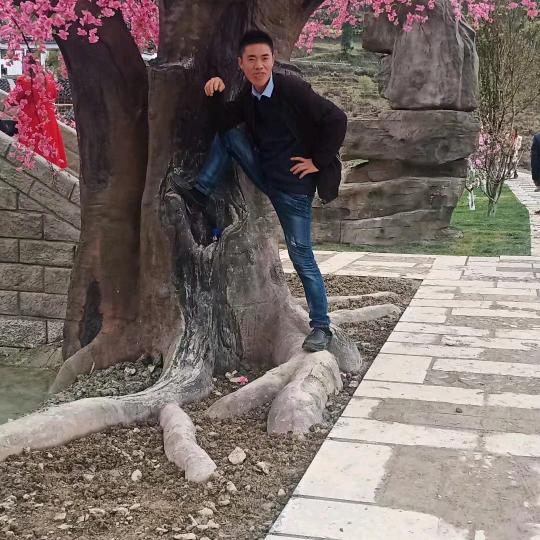 💞情是堕落的伤