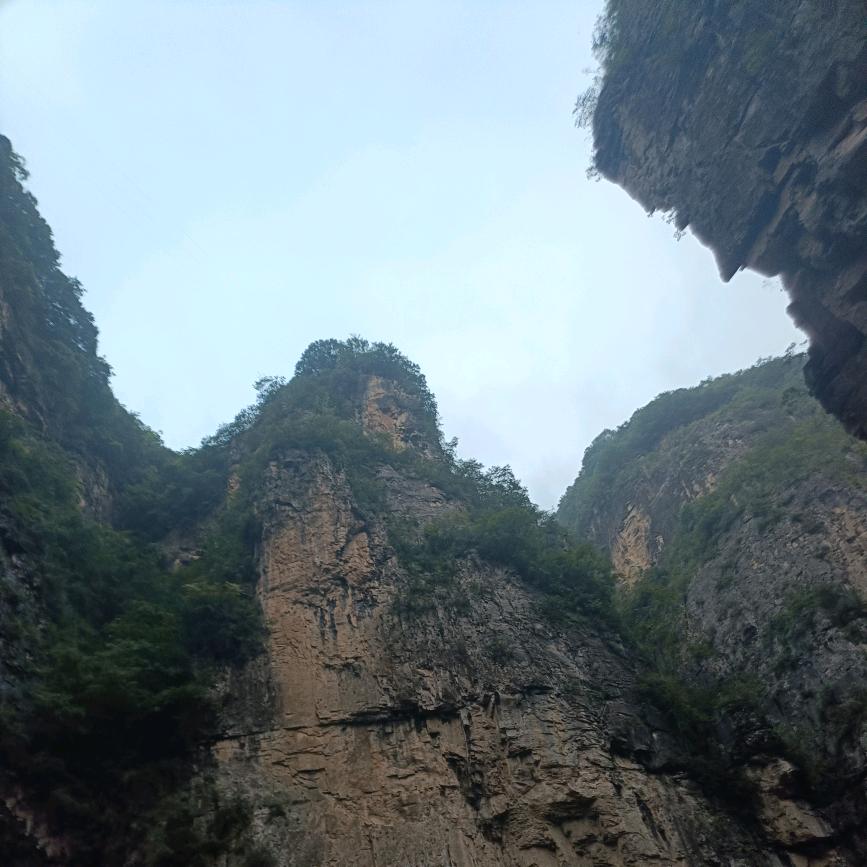 残缺的遗憾