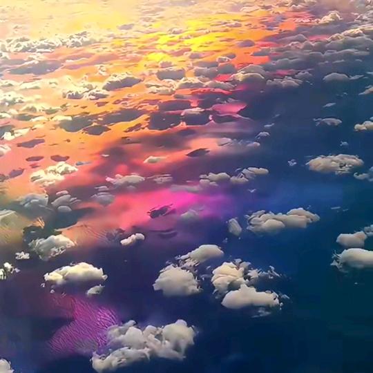 辛巴推荐甄选好物&&&