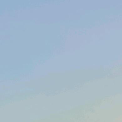 管理