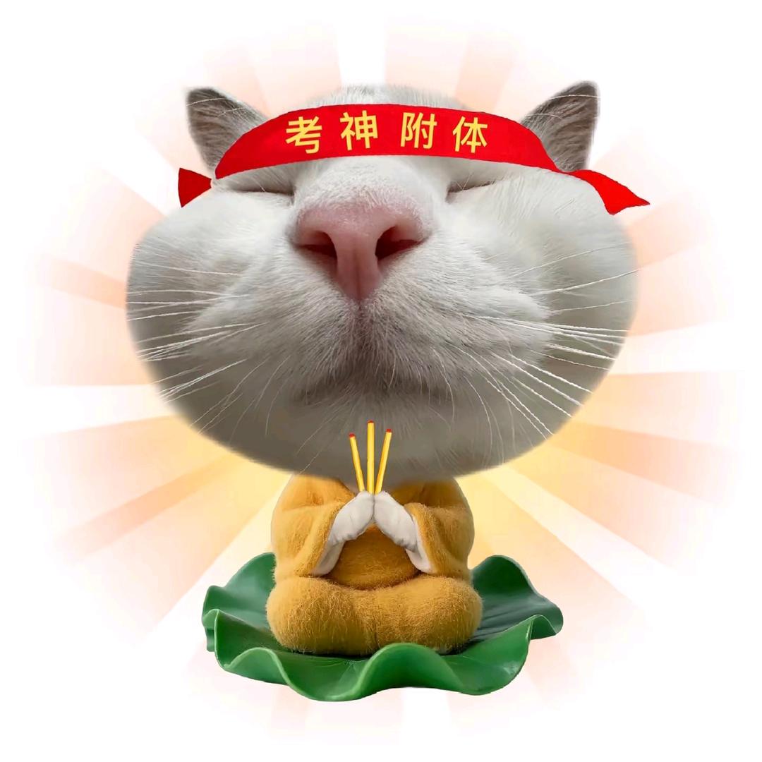 猫咪猫咪轰💜