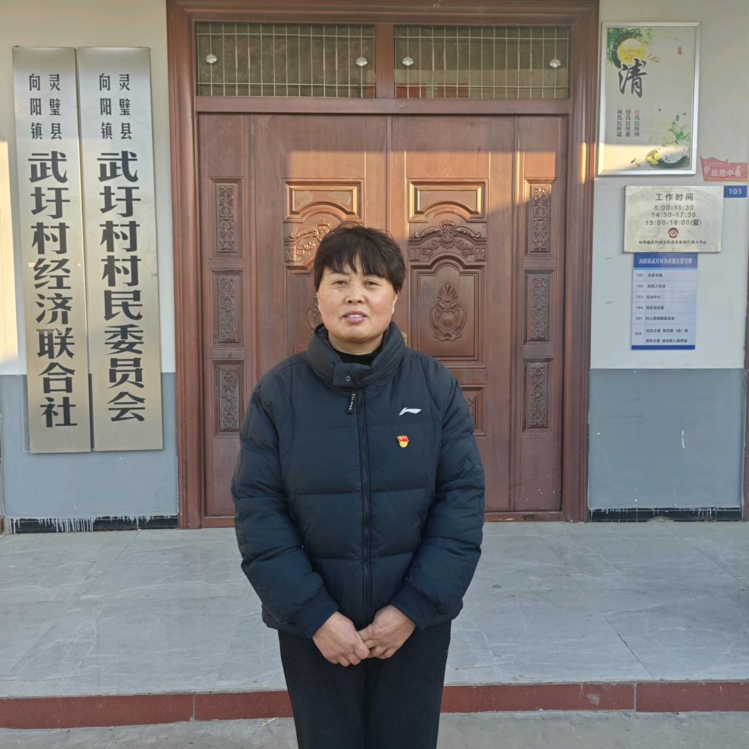 武圩村武书记