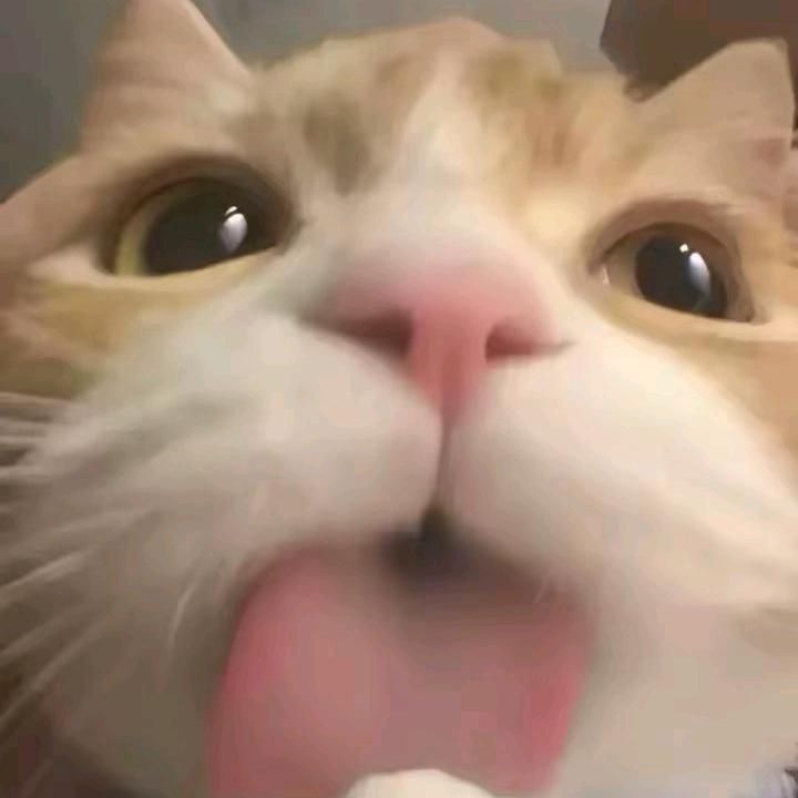 ๑ˊuˋ๑