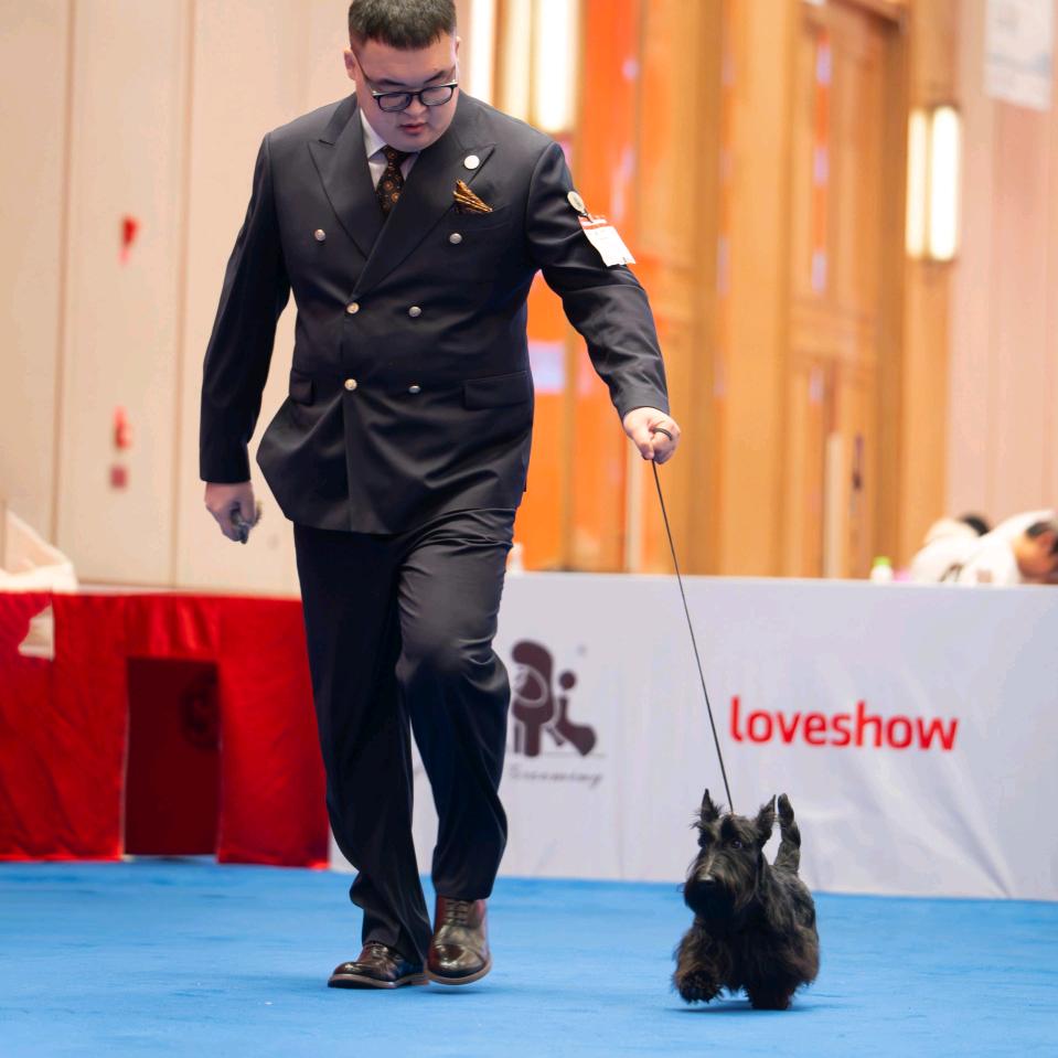 旷野梗犬工作室