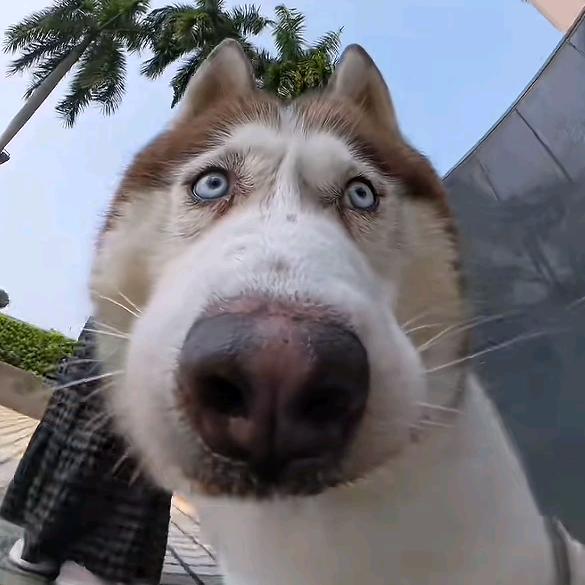 蚌埠小李说装修（透明化装修）