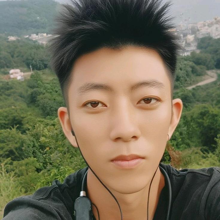 舞动的黑天鹅