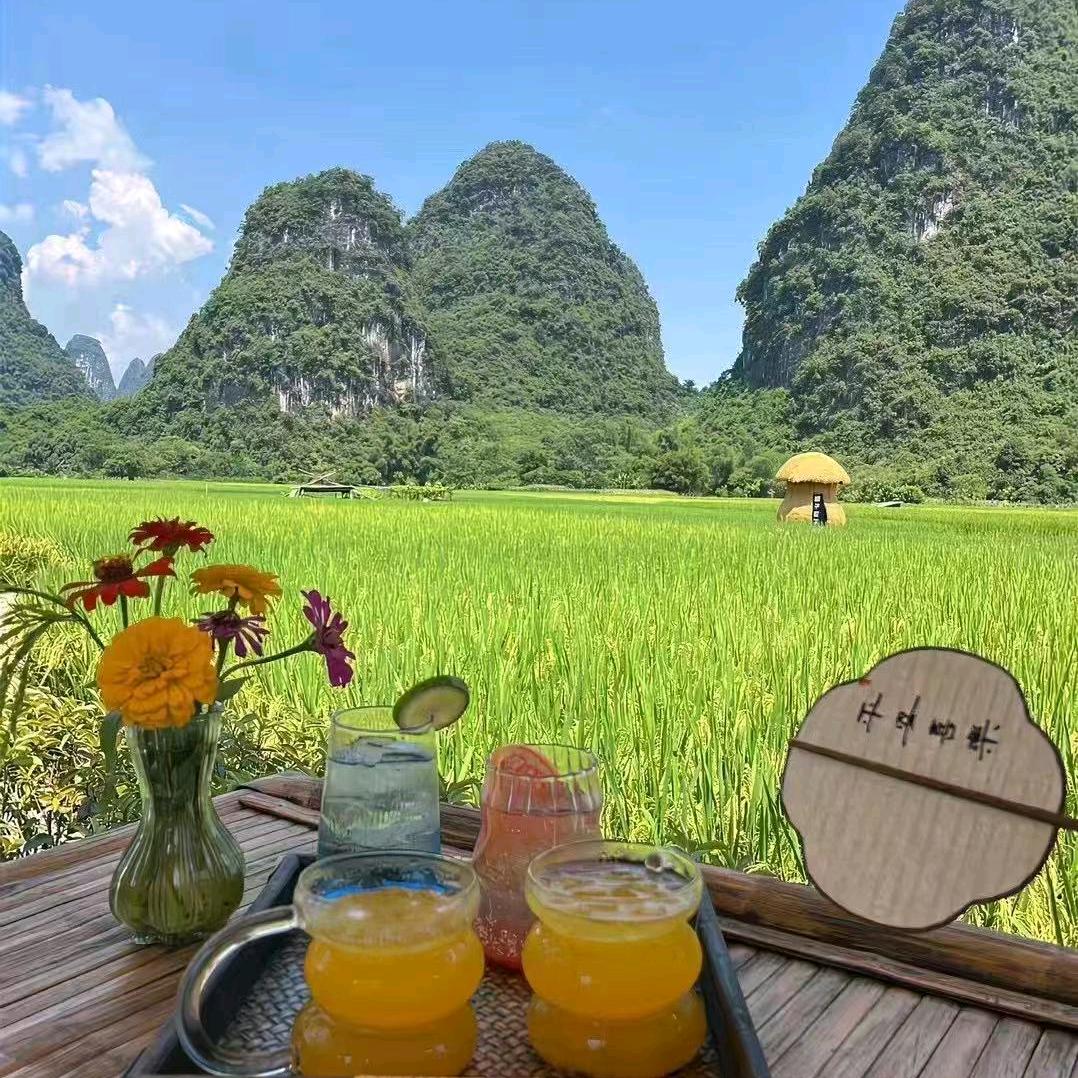 小杜