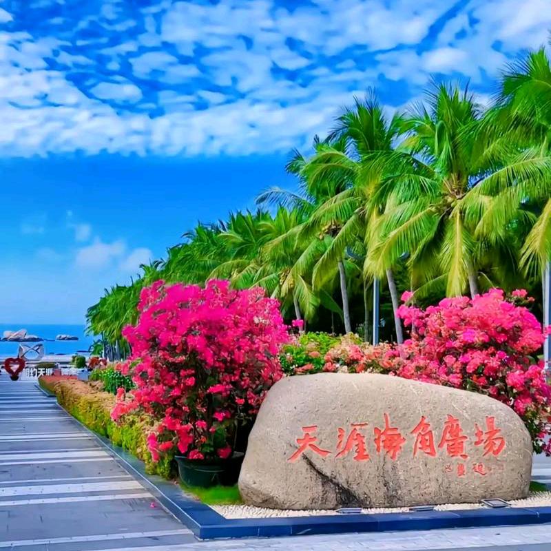 伤心的城市