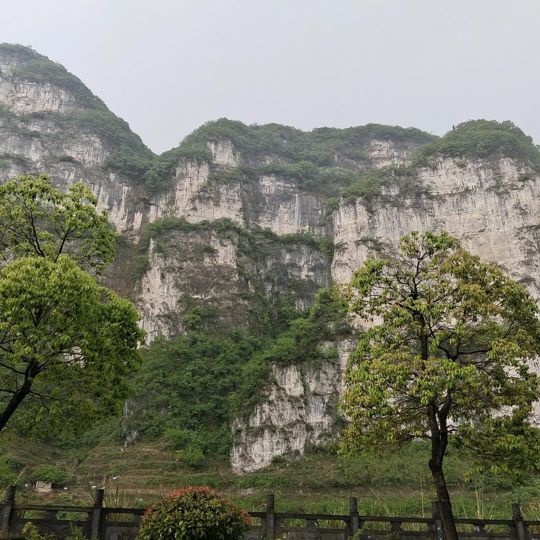 树深