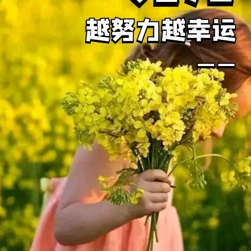 鹭鹭1314