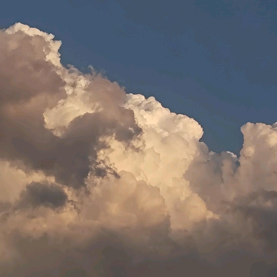 盛夏