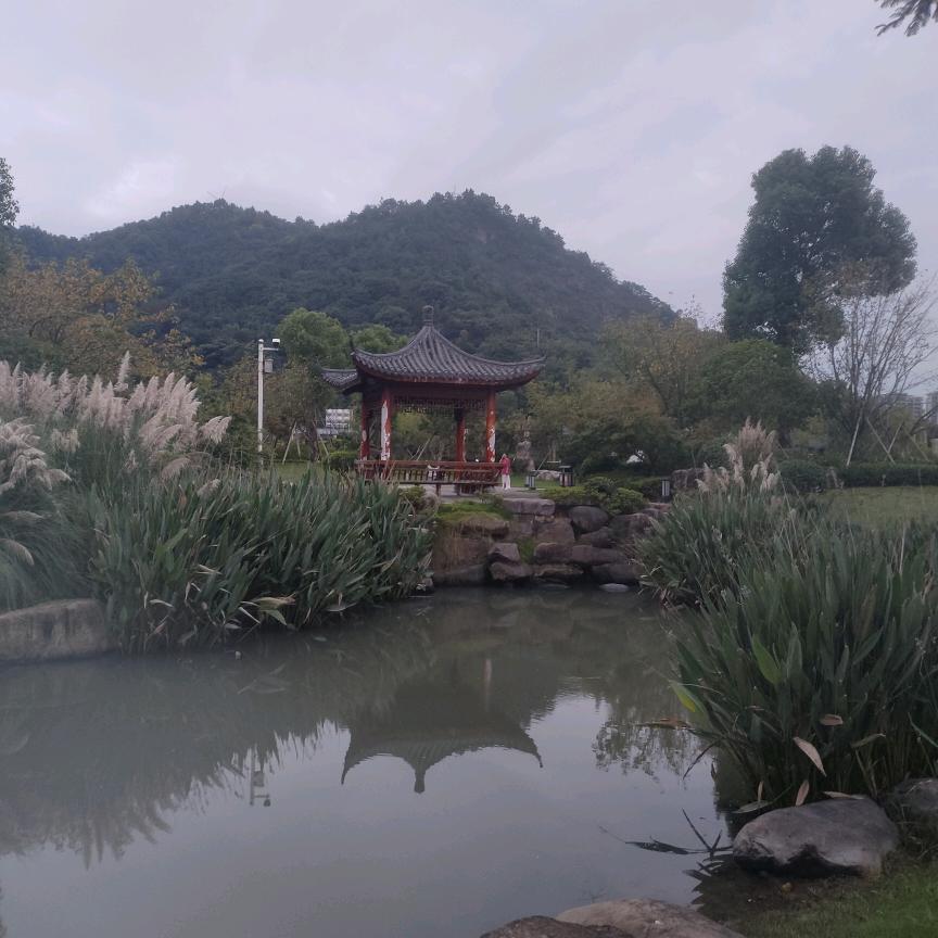 梦见你了