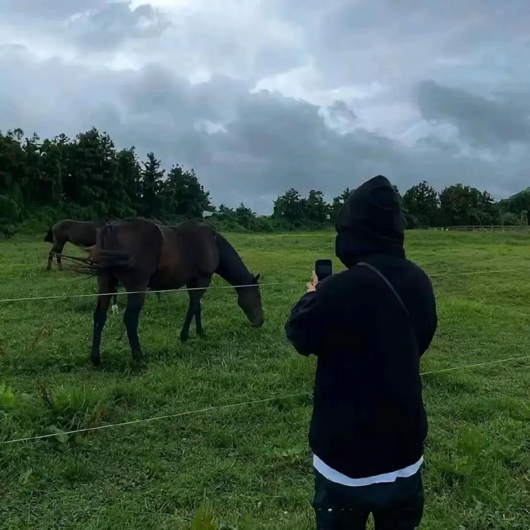超级无敌霸王龙