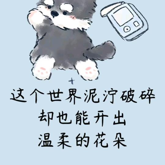 雾里看花终是谎