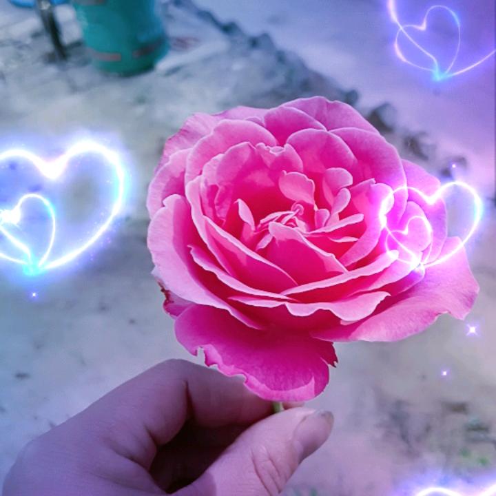 💓余生~安好