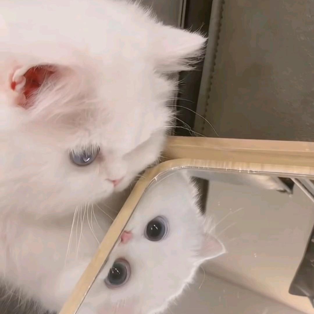 听我搅便( ｰ̀εｰ́ )