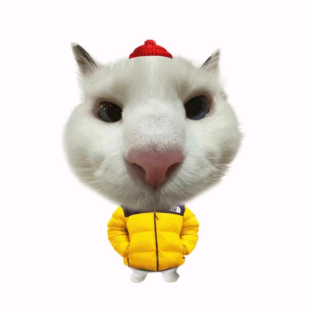 二哥