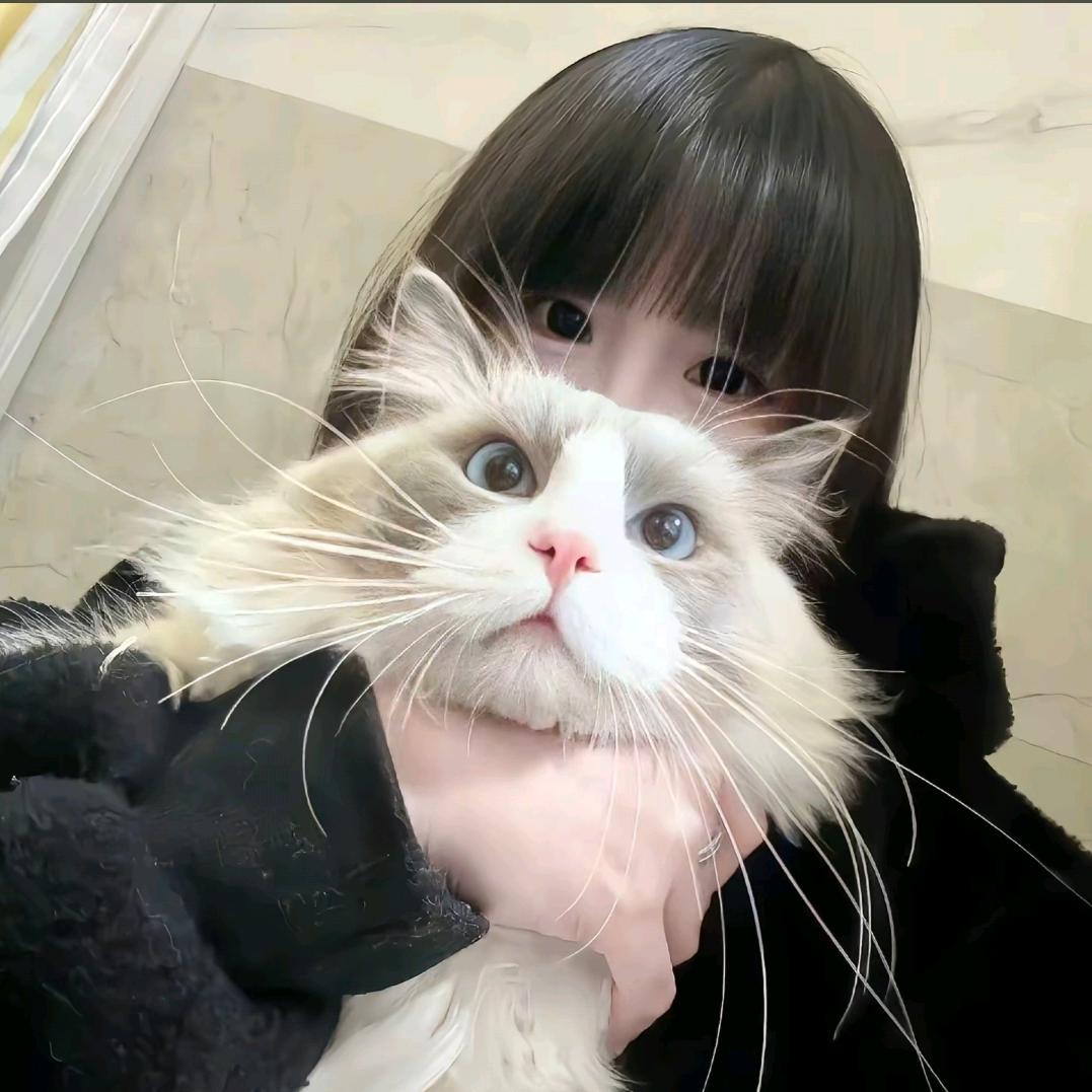 晚宝Despαir
