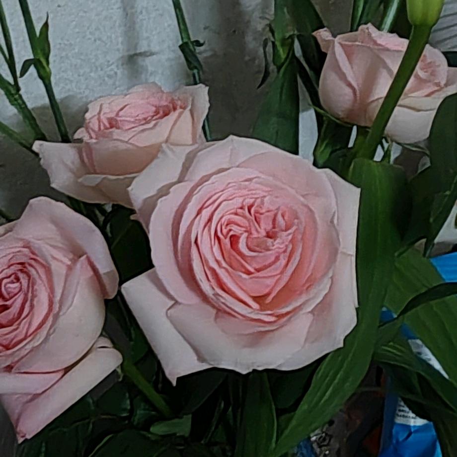 🥀এ᭄累了ꦿ谁💔疼ོ࿐ᩚ