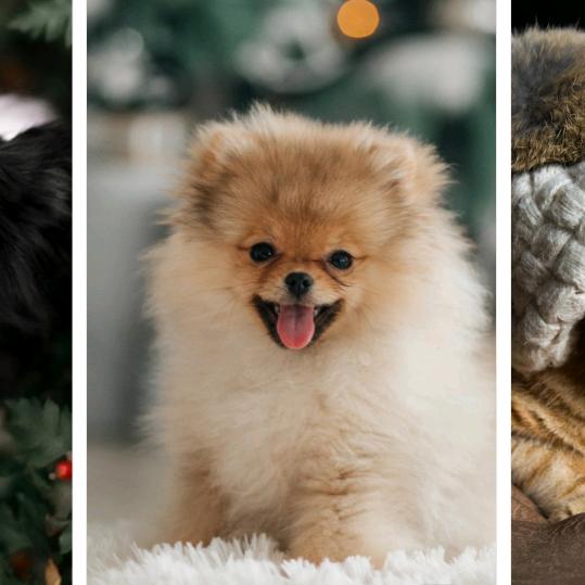 心中有酒，不敢喝