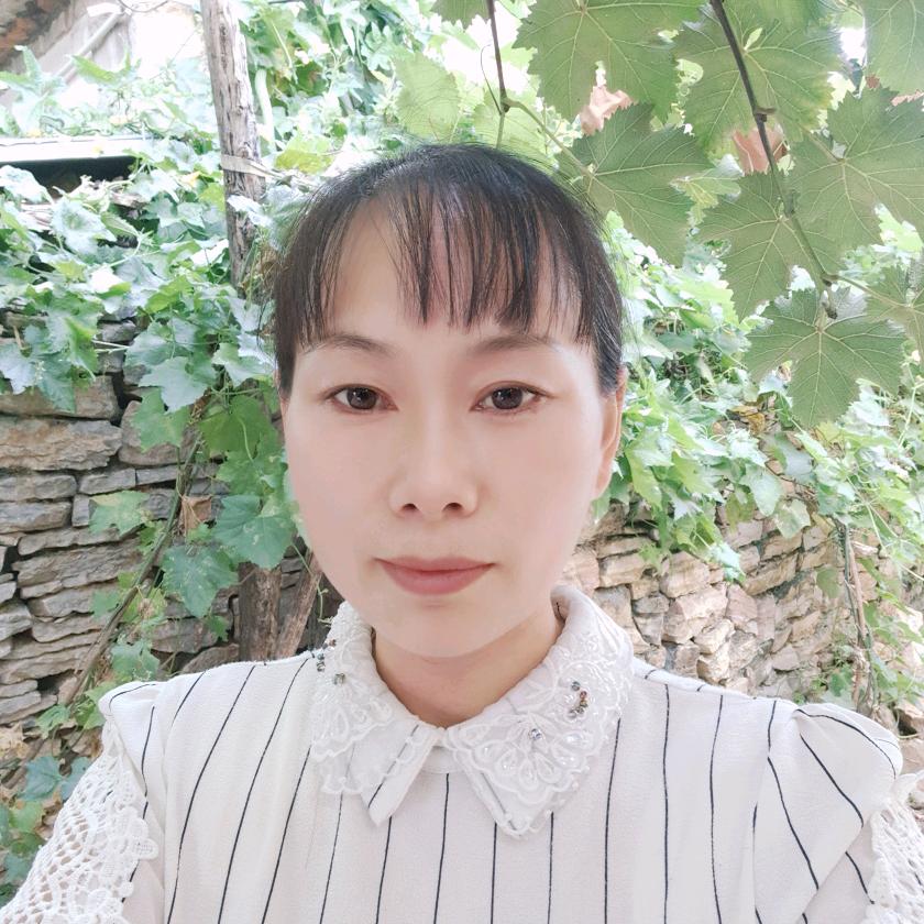 大梅(停播学习中)