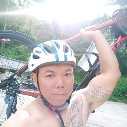 自由侠