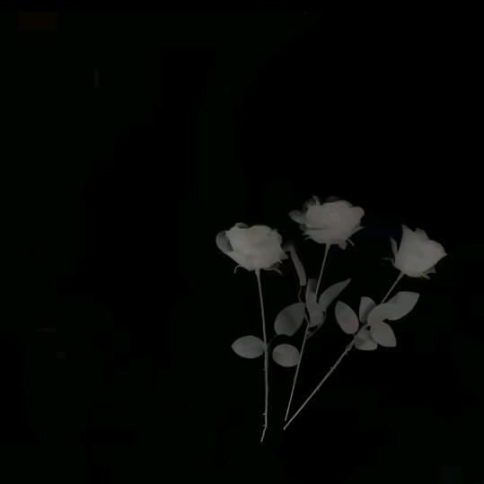 ℳঞᩚ沉ꦿ᭄࿐默
