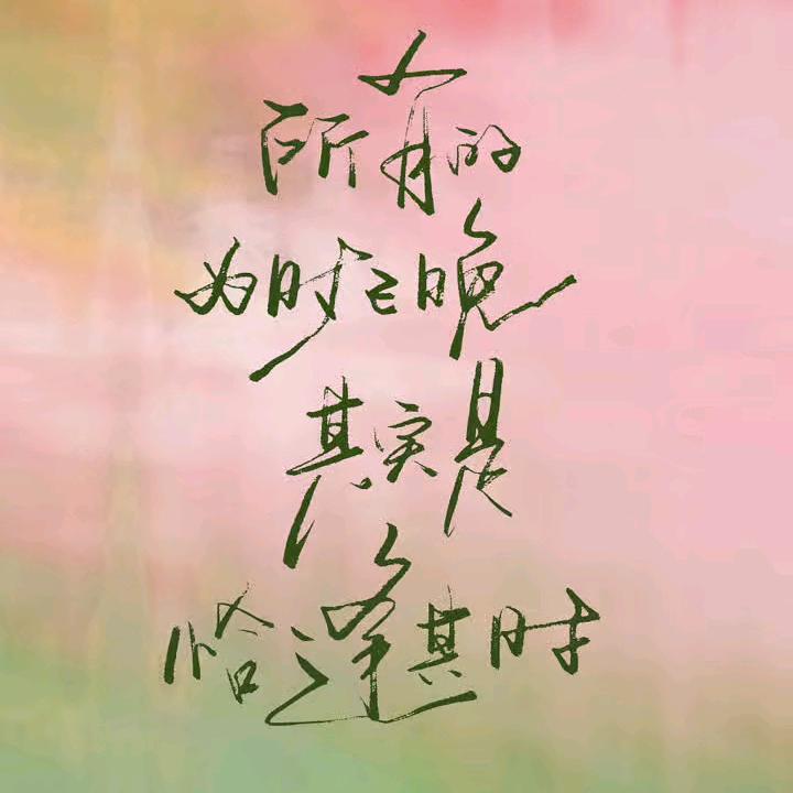 专业剃头匠