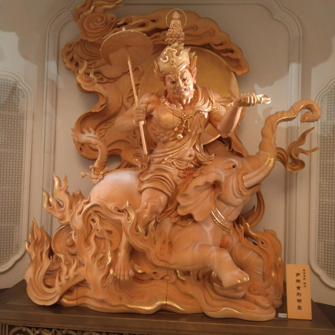 泽泽