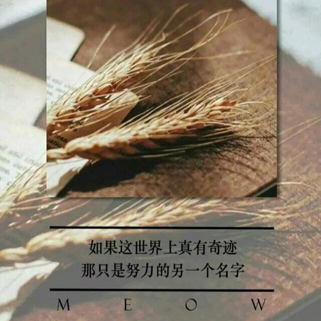 诞生奇迹的地方