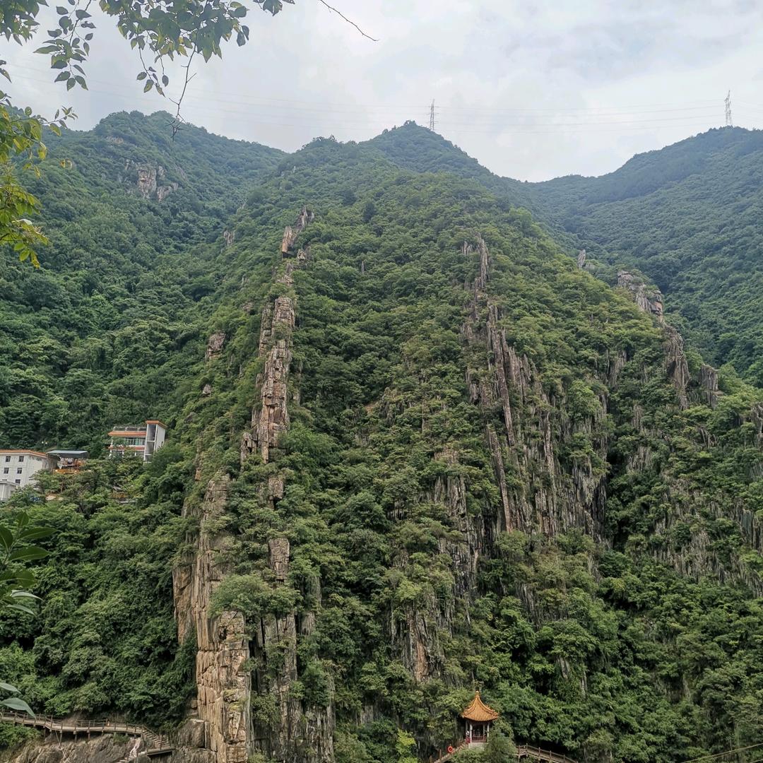 名字没想好