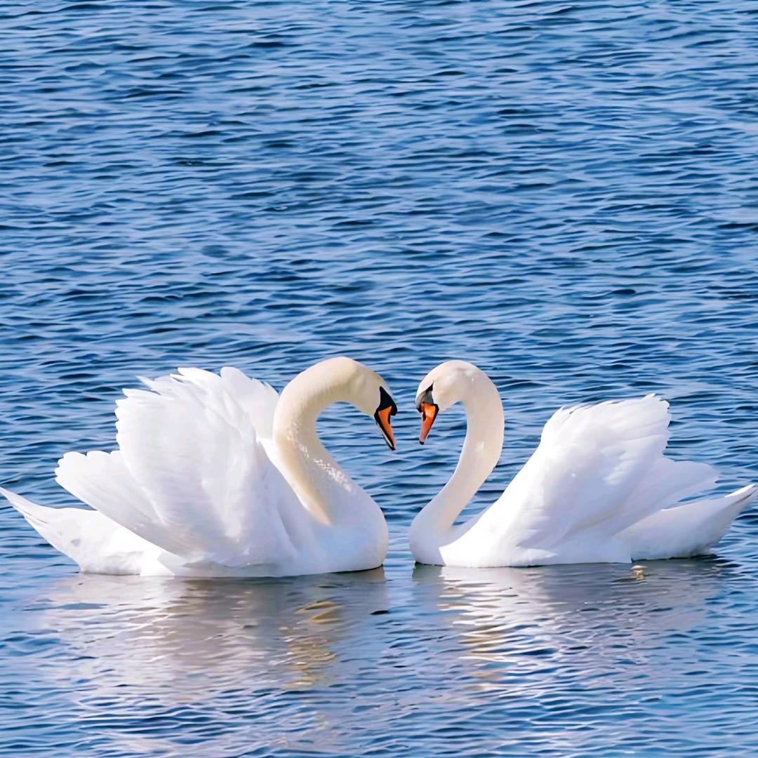 大笑哈哈哈哈哈哈哈哈哈