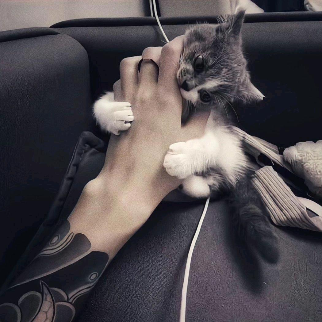PasSioN