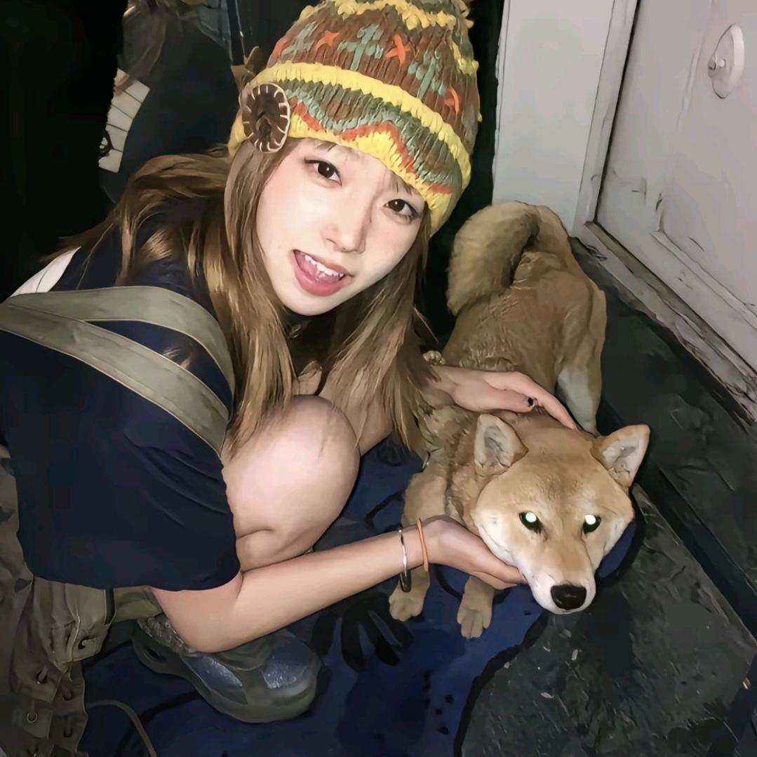 虎图图