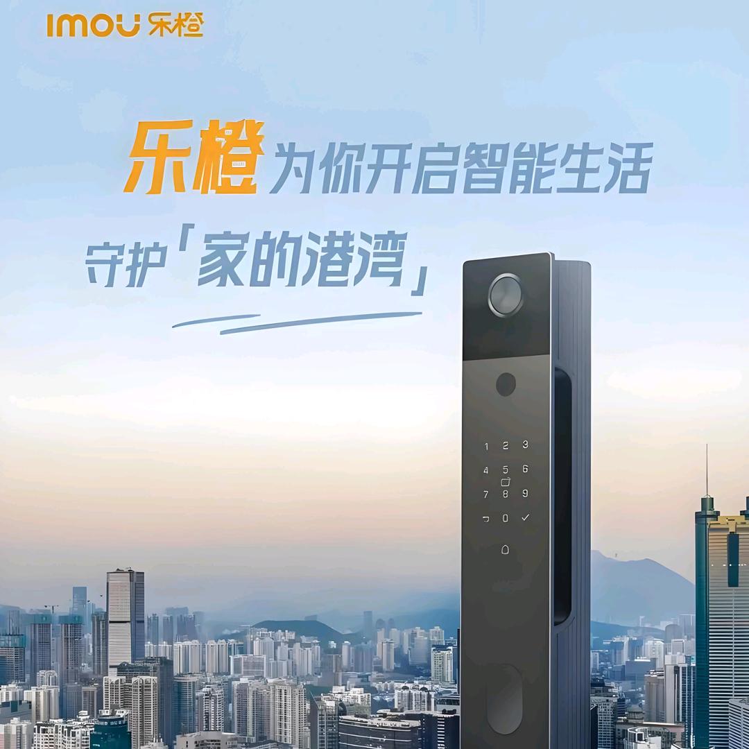 蒙阴智能指纹锁阿俊