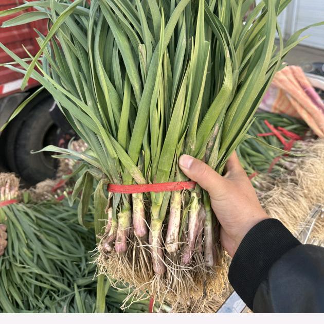 丰县高伯伯农产品