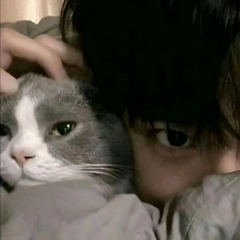 温柔盼她而来