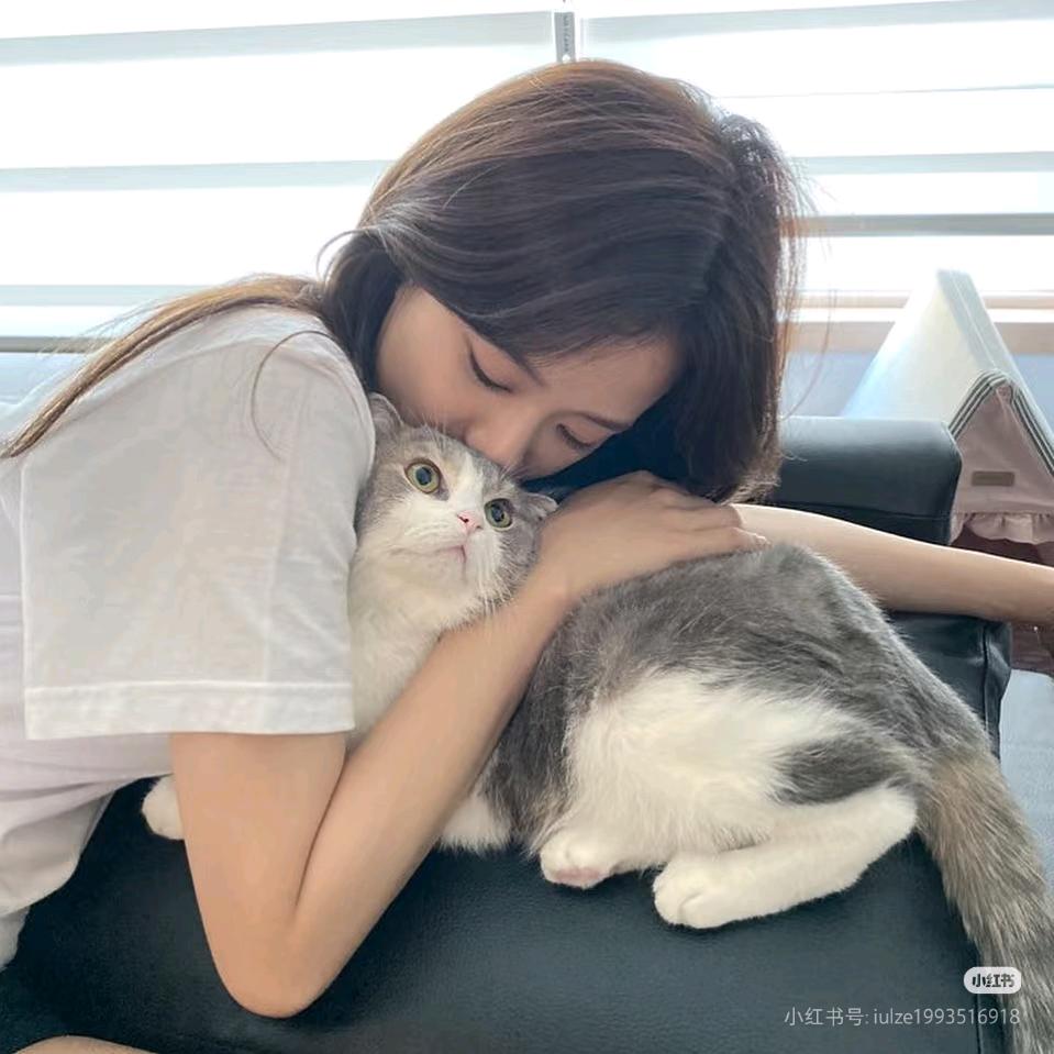 kitty.念