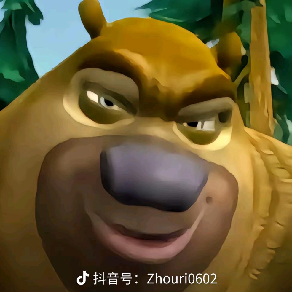 正式
