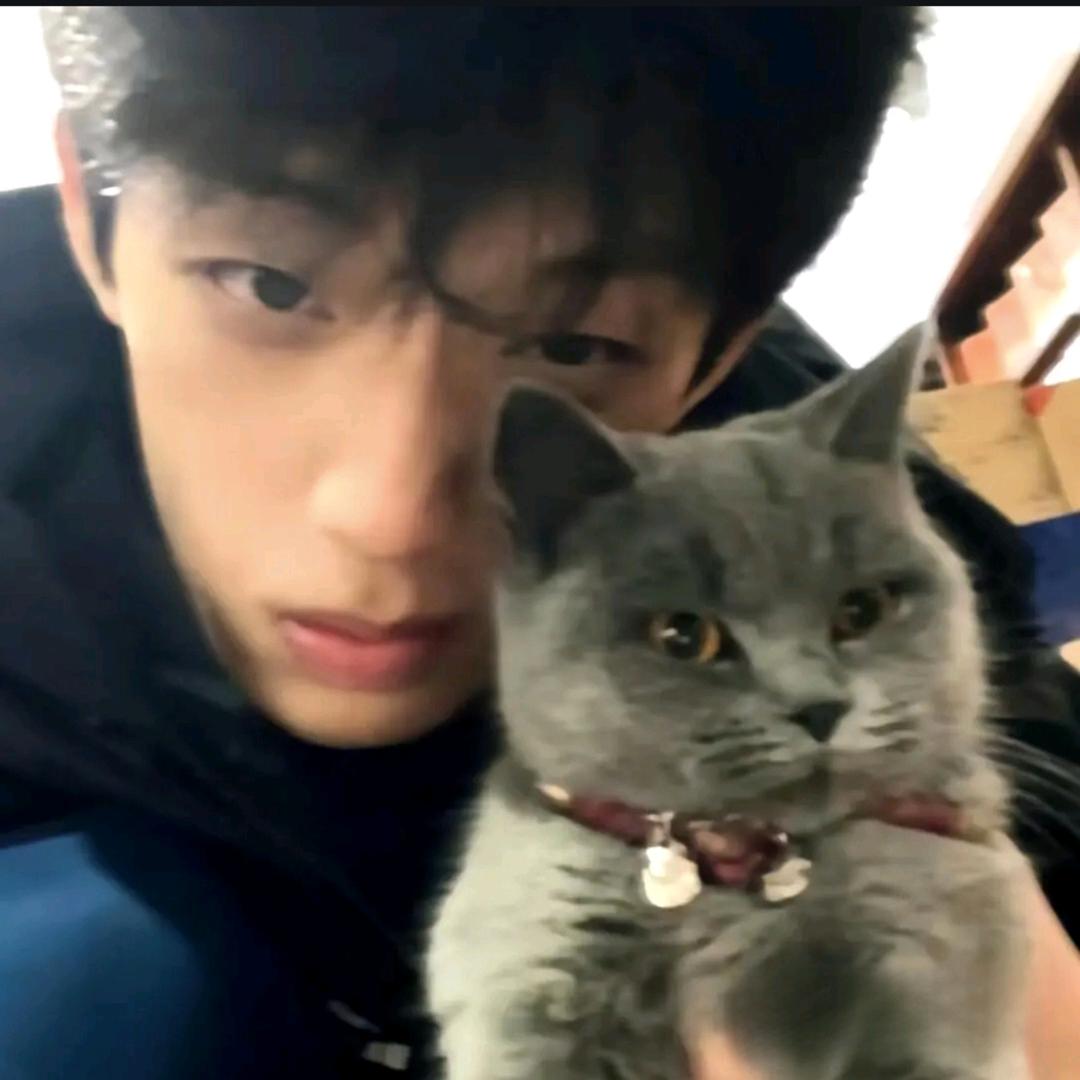 这个人不会谈恋爱