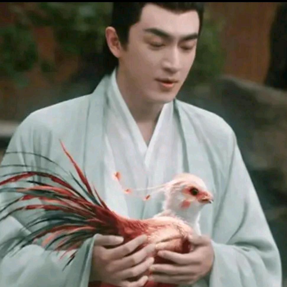 一鹿有你
