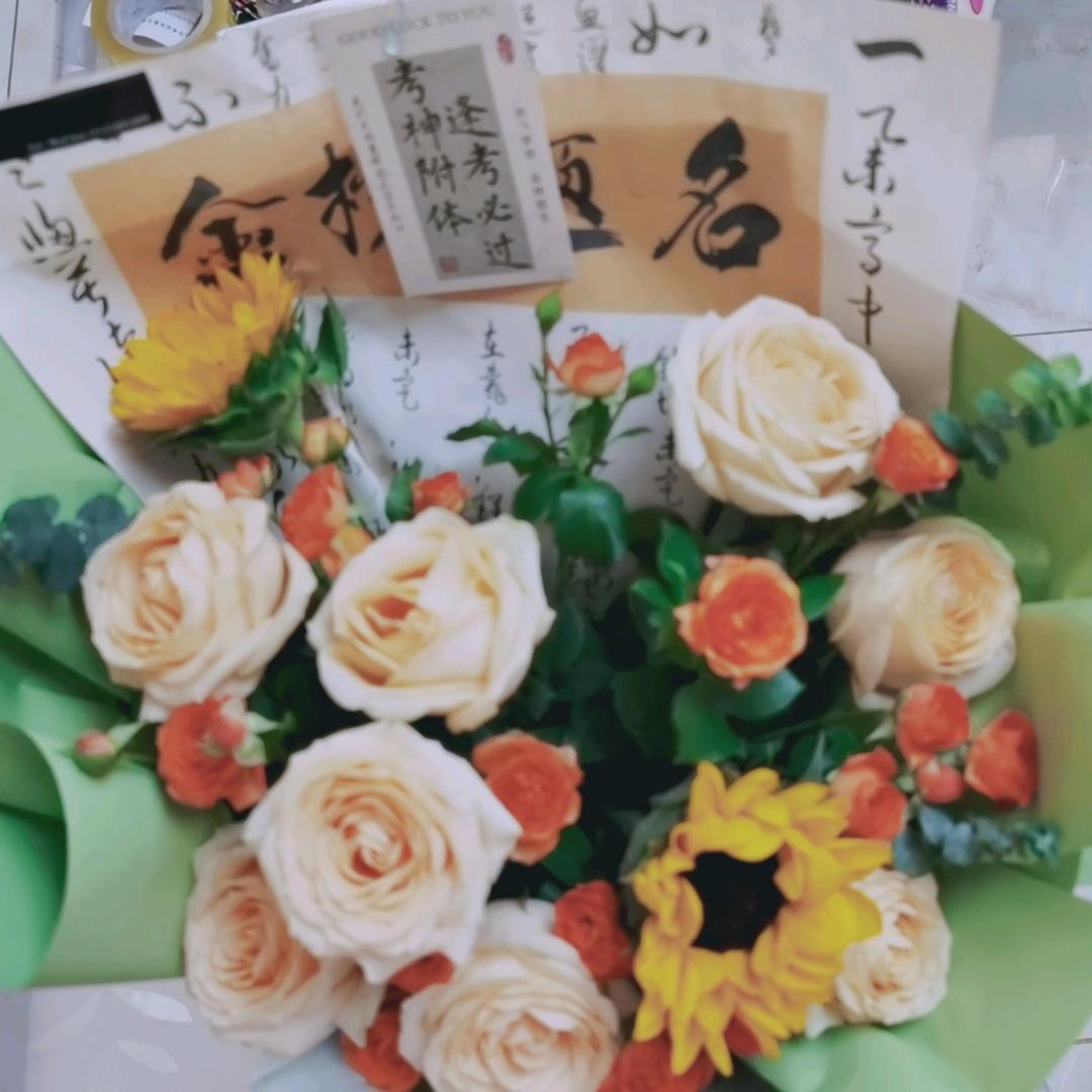 燕子王哪里跑