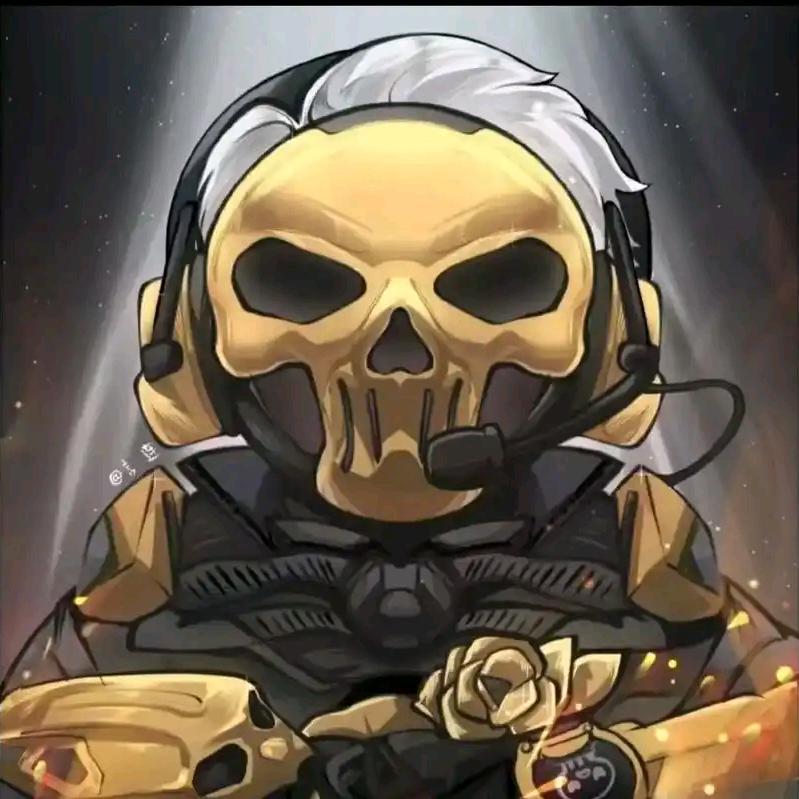 鸿叔公丶（三角洲行动）