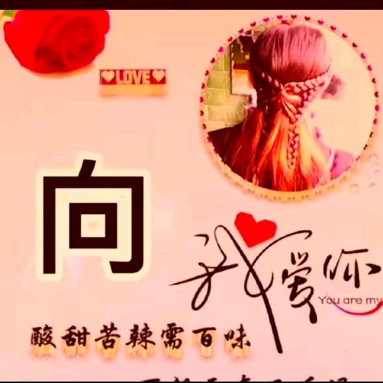 向哈哈