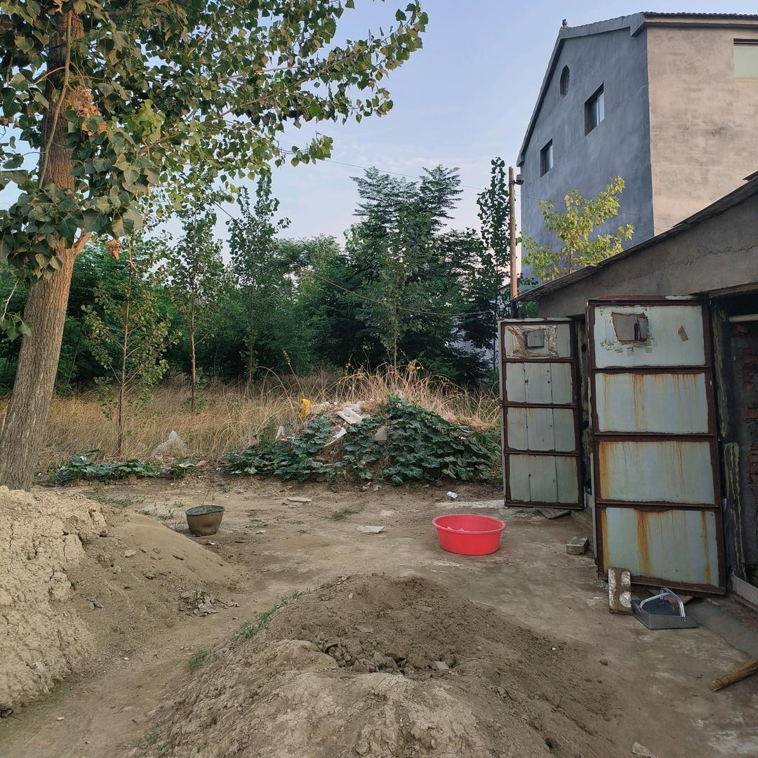 农村土元个体养殖