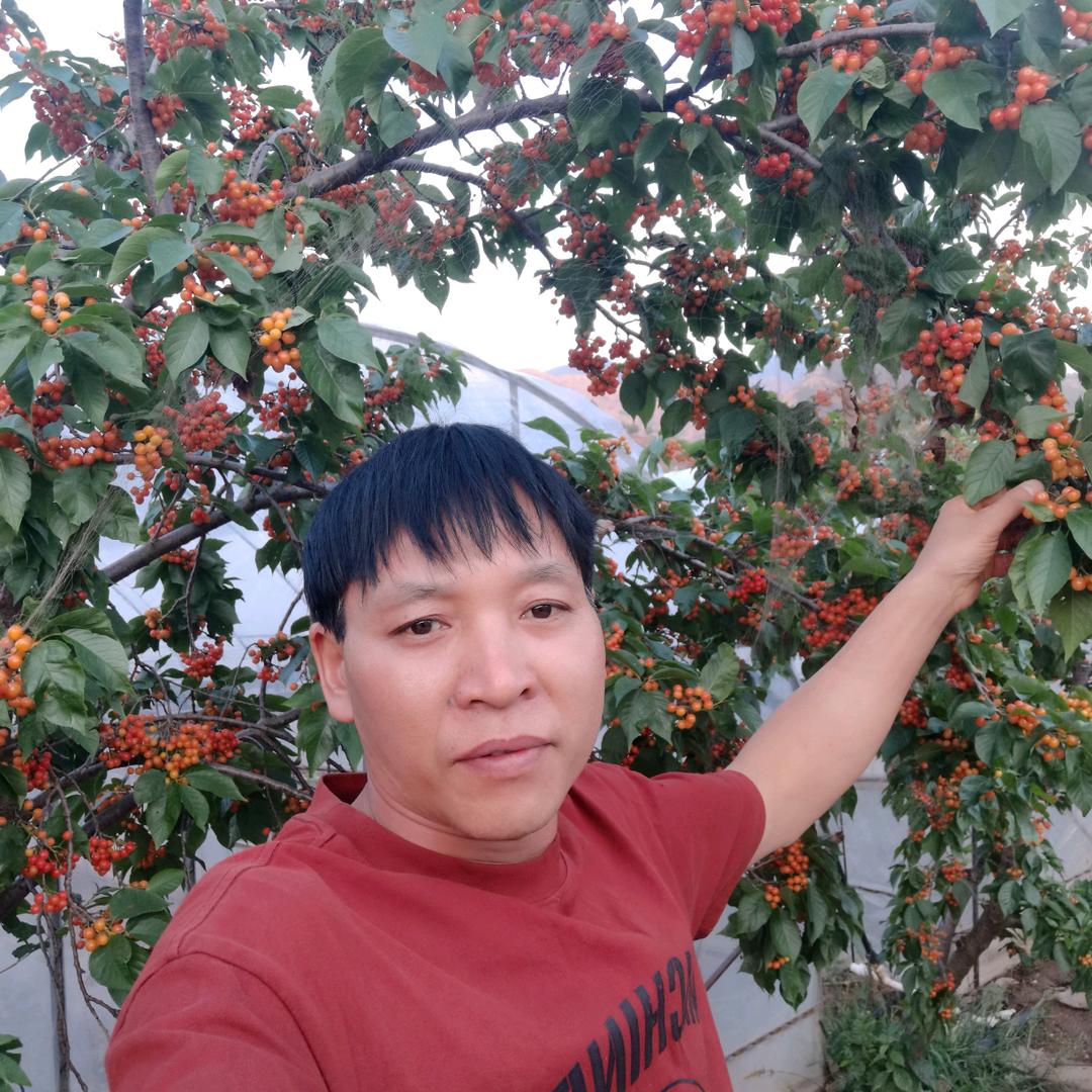 为了前途，必须拼搏。