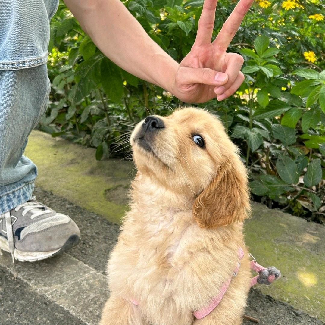 上岸注安✨