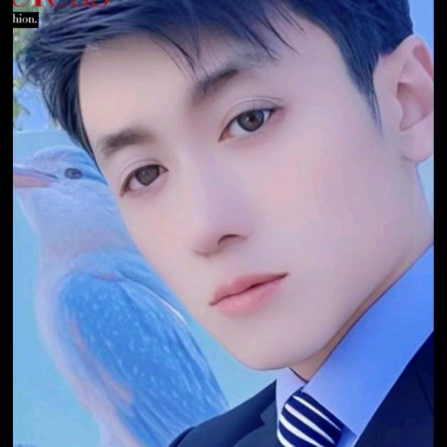 @安文:ds