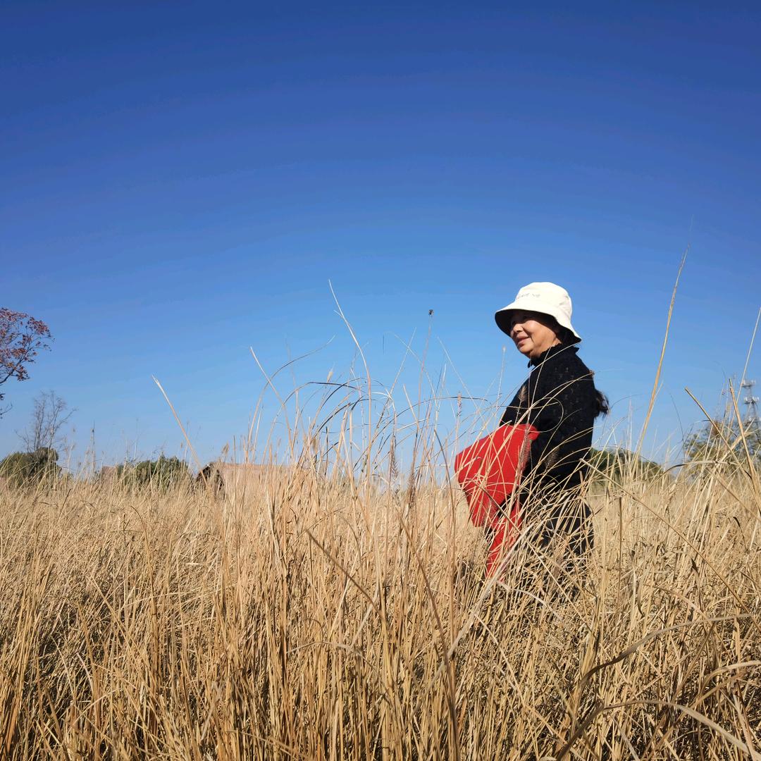 折腾一辈子的银杏