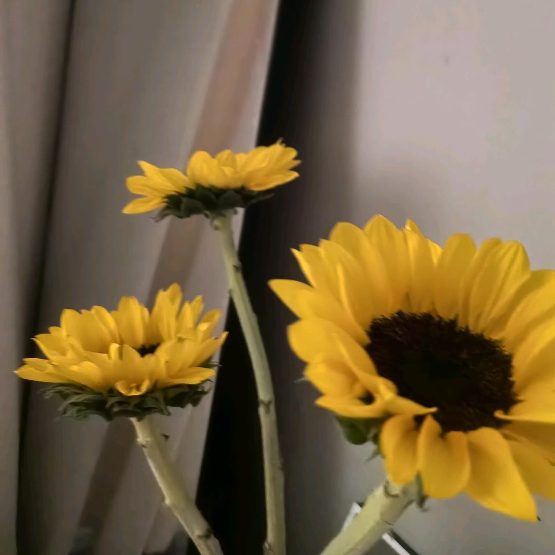 老年生活